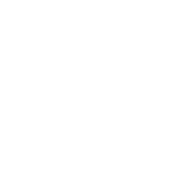 Fusion 06